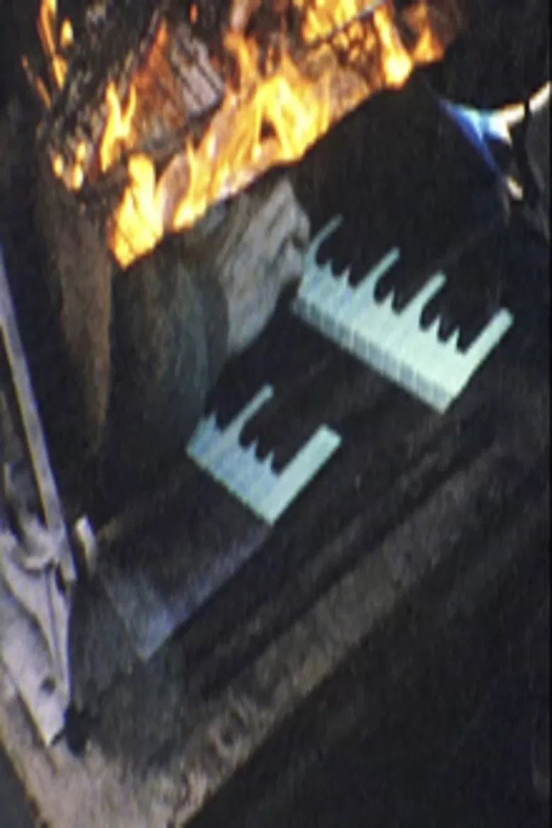 Film Diary #2 (No Nothing Cinema) poster background