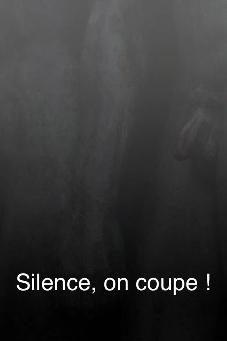 Silence, on coupe ! poster background