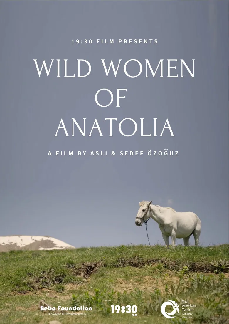 Wild Women of Anatolia poster background