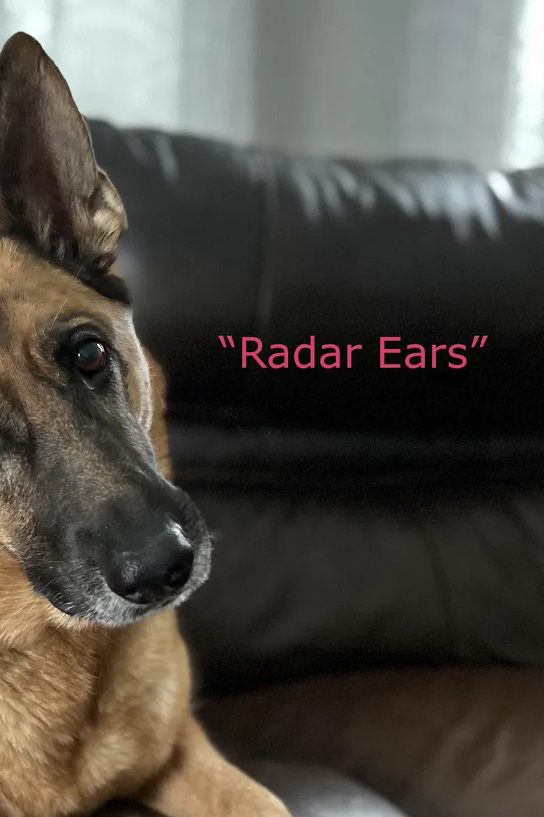 "Radar Ears" poster background
