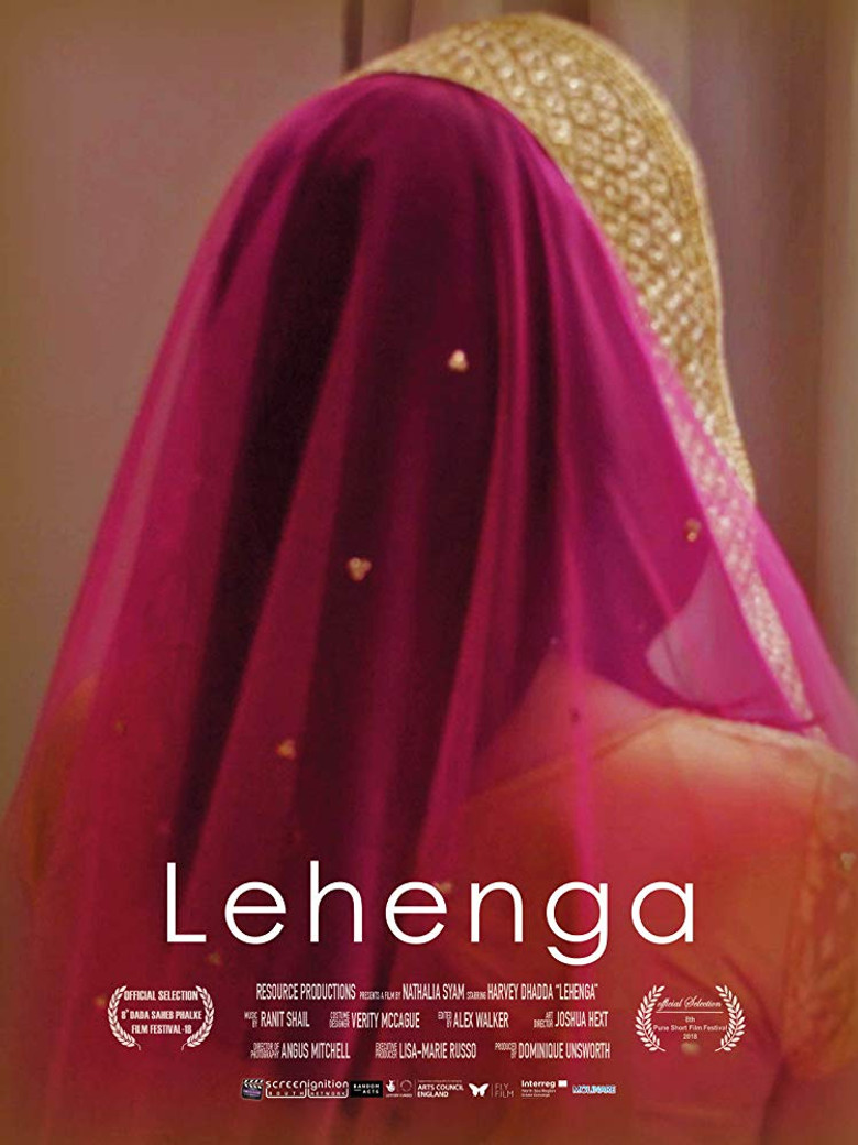 Lehenga poster background