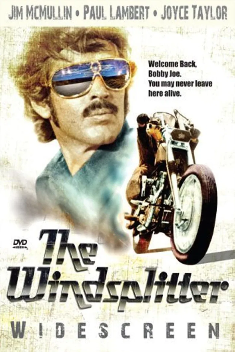 The Windsplitter poster background