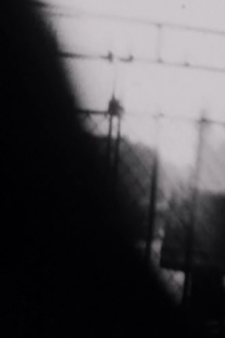 Double Shutter poster background