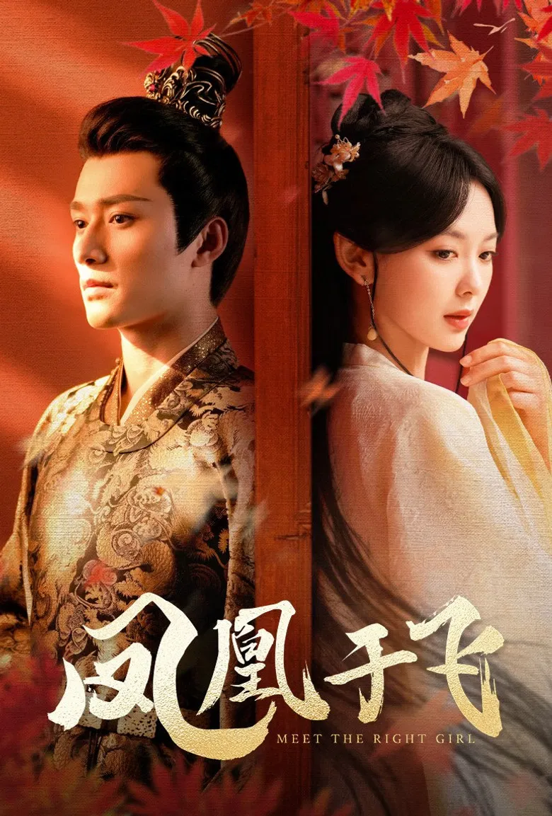 凤凰于飞 poster background