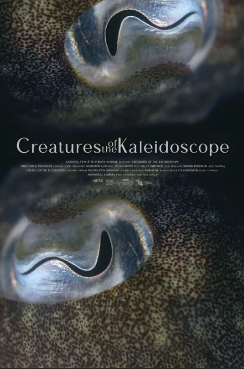 Creatures of the Kaleidoscope poster background