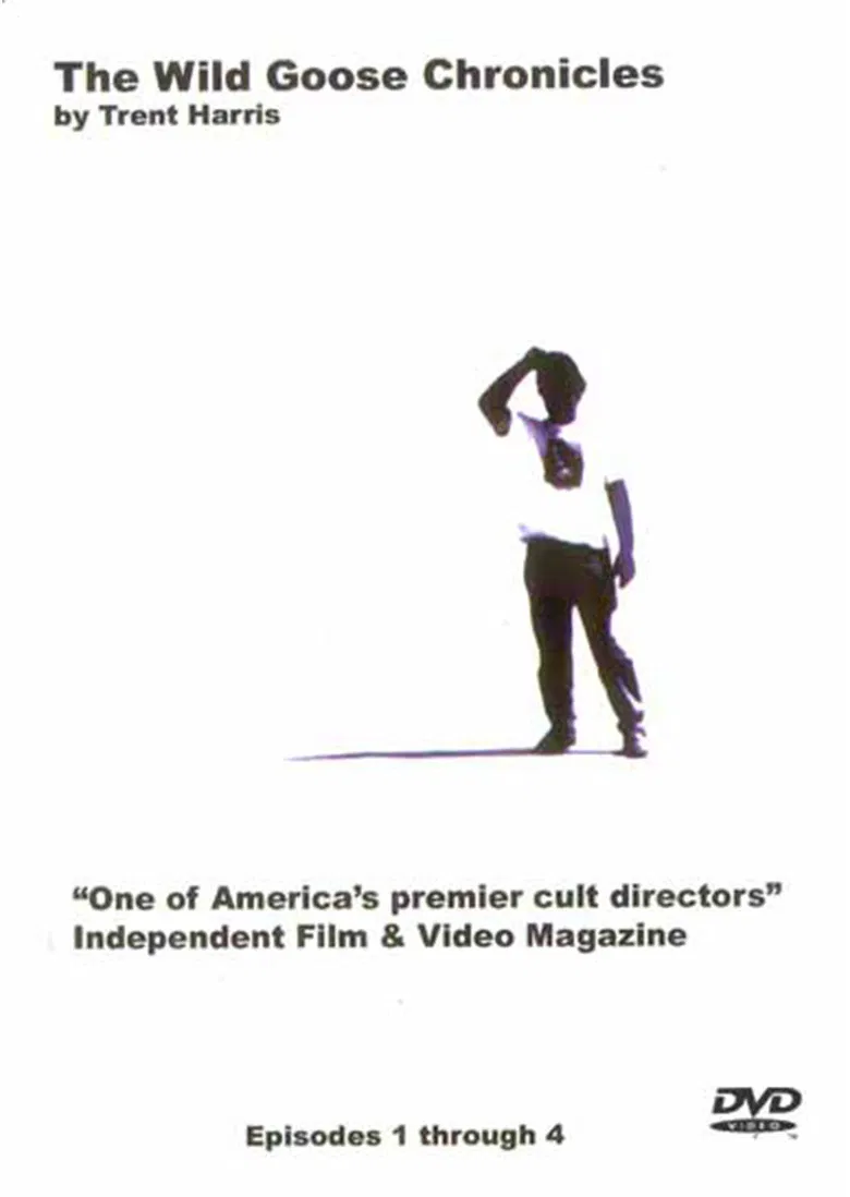 The Wild Goose Chronicles poster background