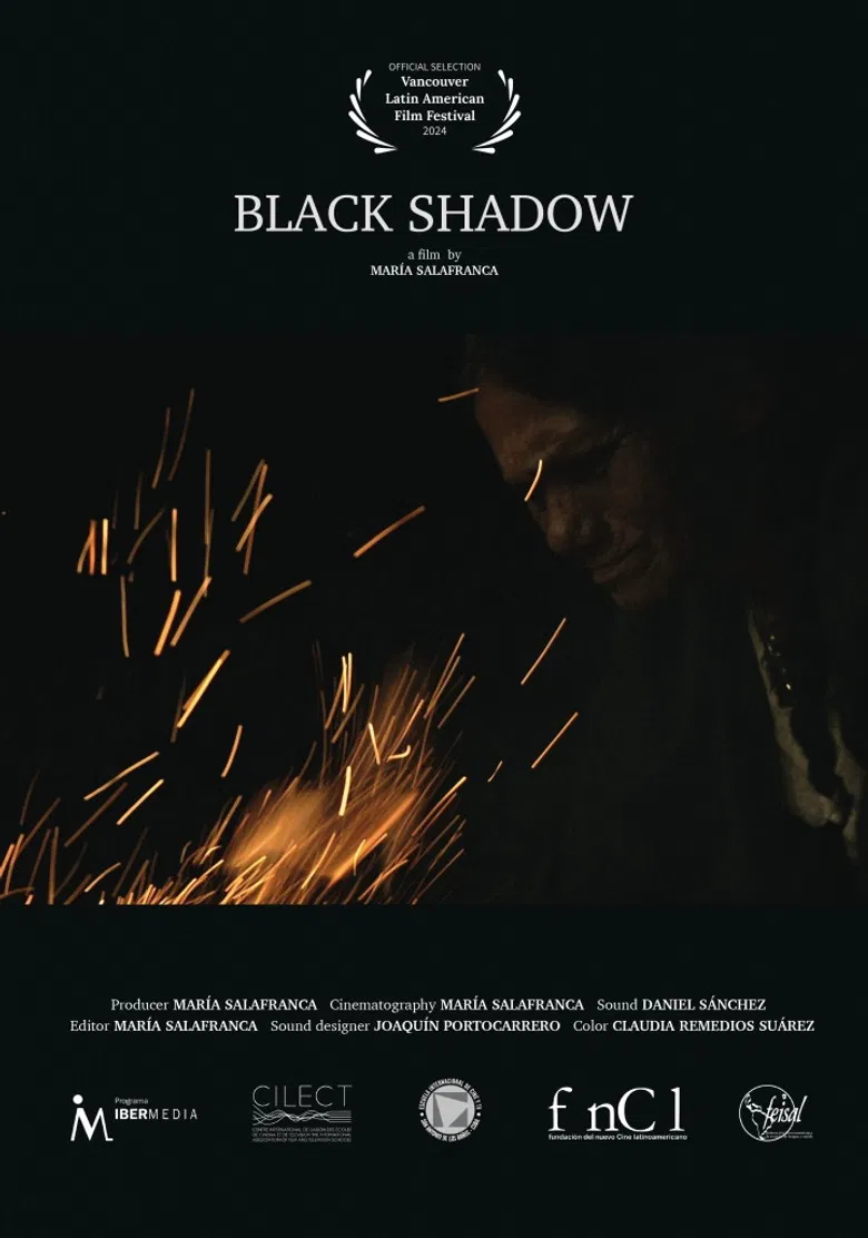 Black Shadow poster background
