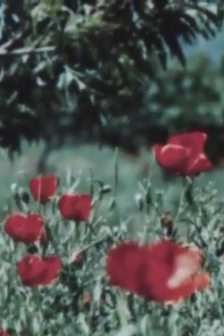 The Art of Tajikistan poster background