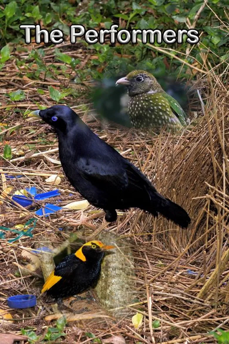 The Performers poster background