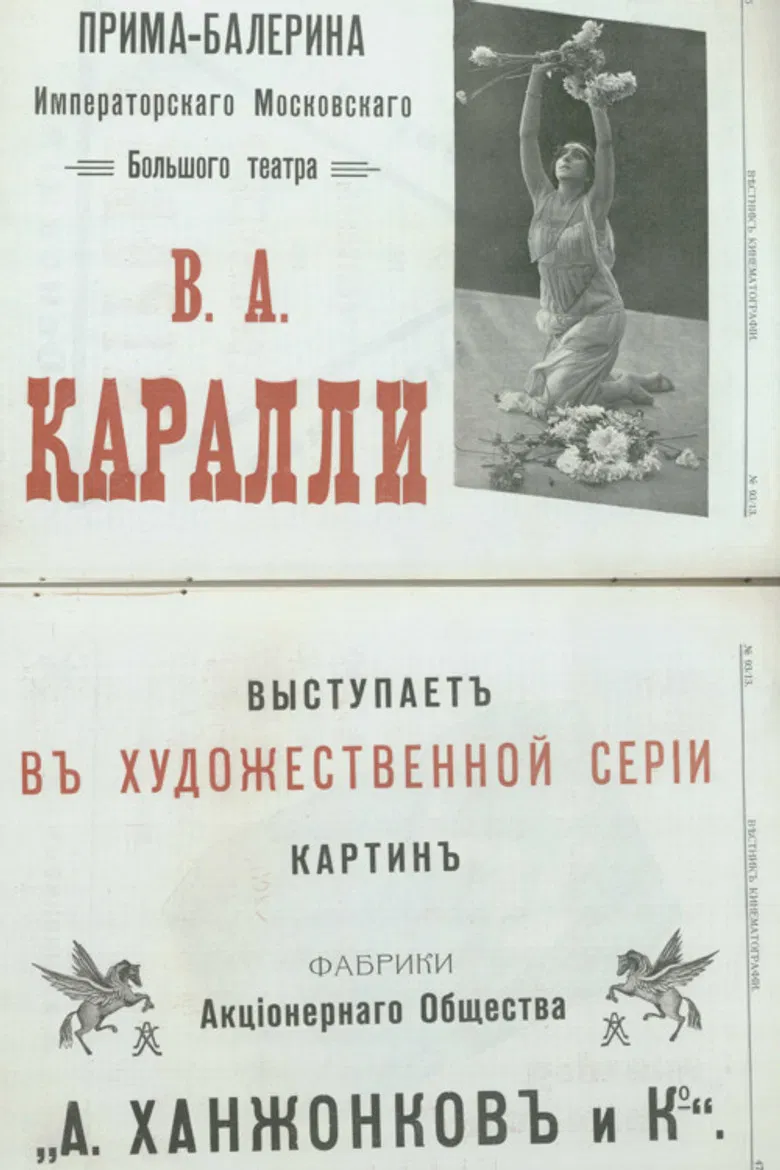 Chrysanthemums poster background