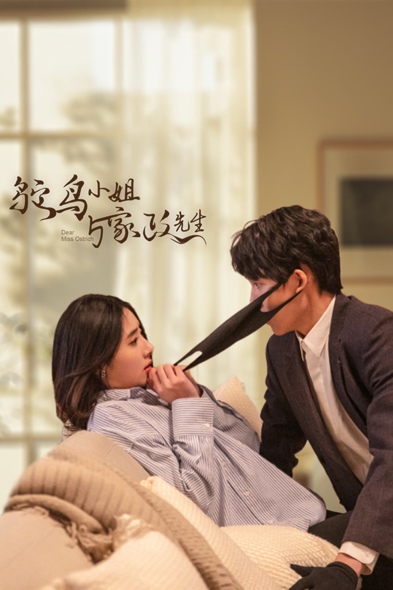 Dear Miss Ostrich poster background