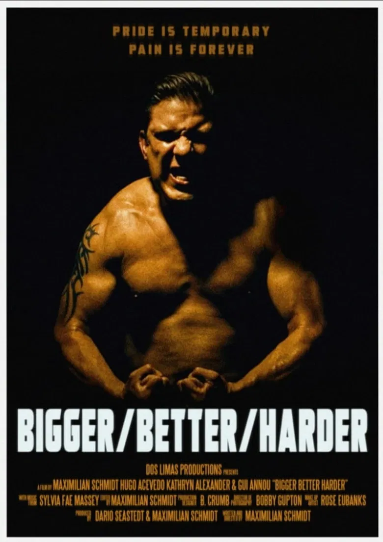 Bigger/Better/Harder poster background