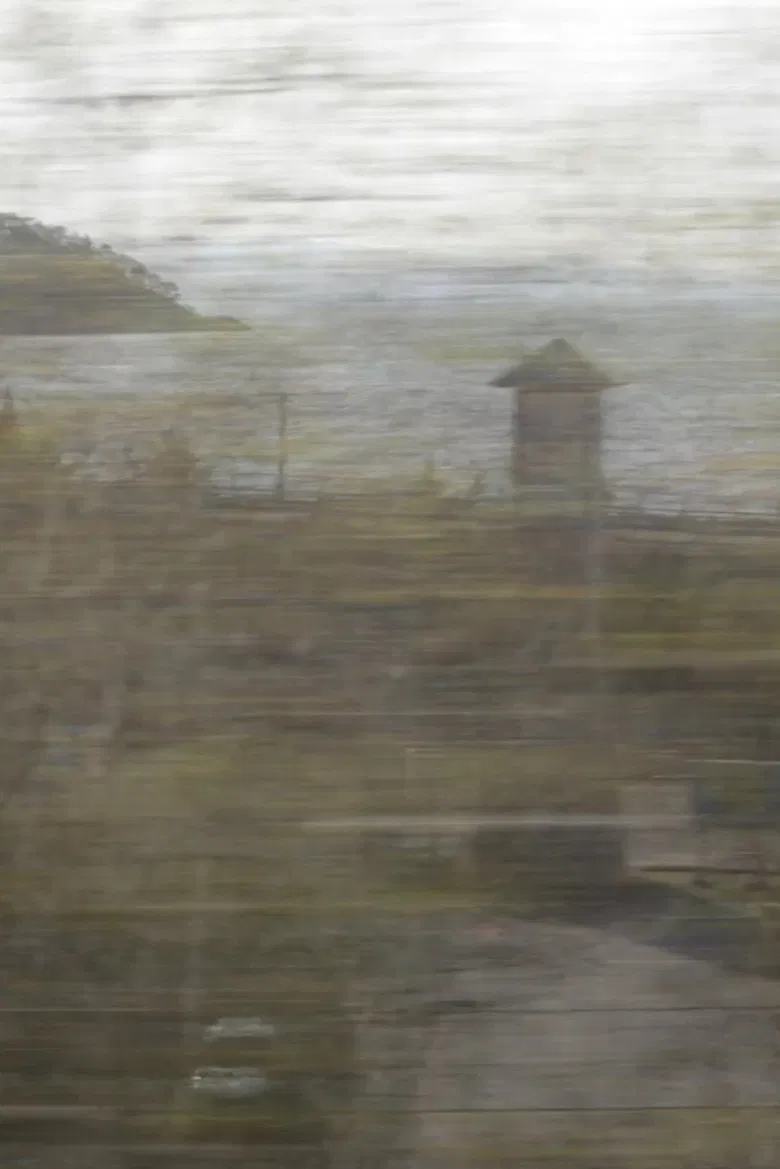 Homo Mobilitas poster background