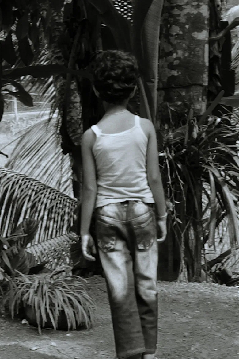 Strangers poster background