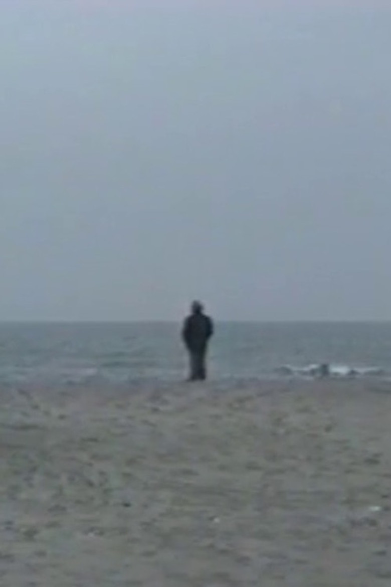 L'Arbre et le Soleil poster background