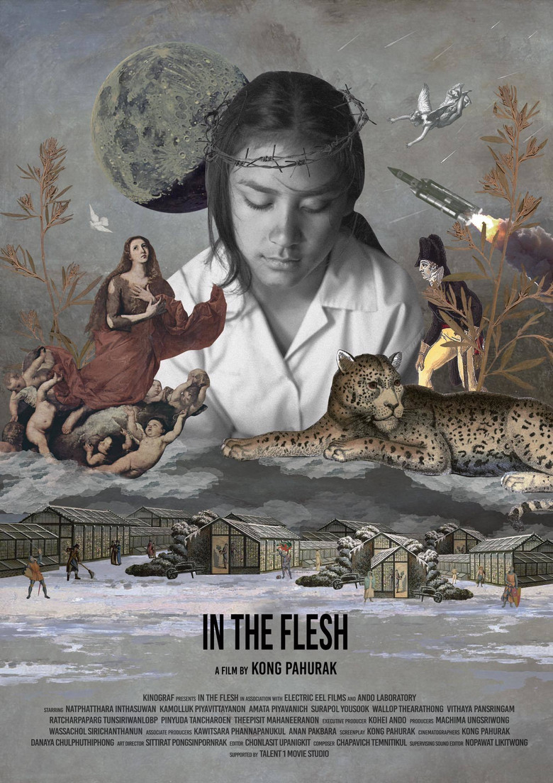 In the Flesh poster background