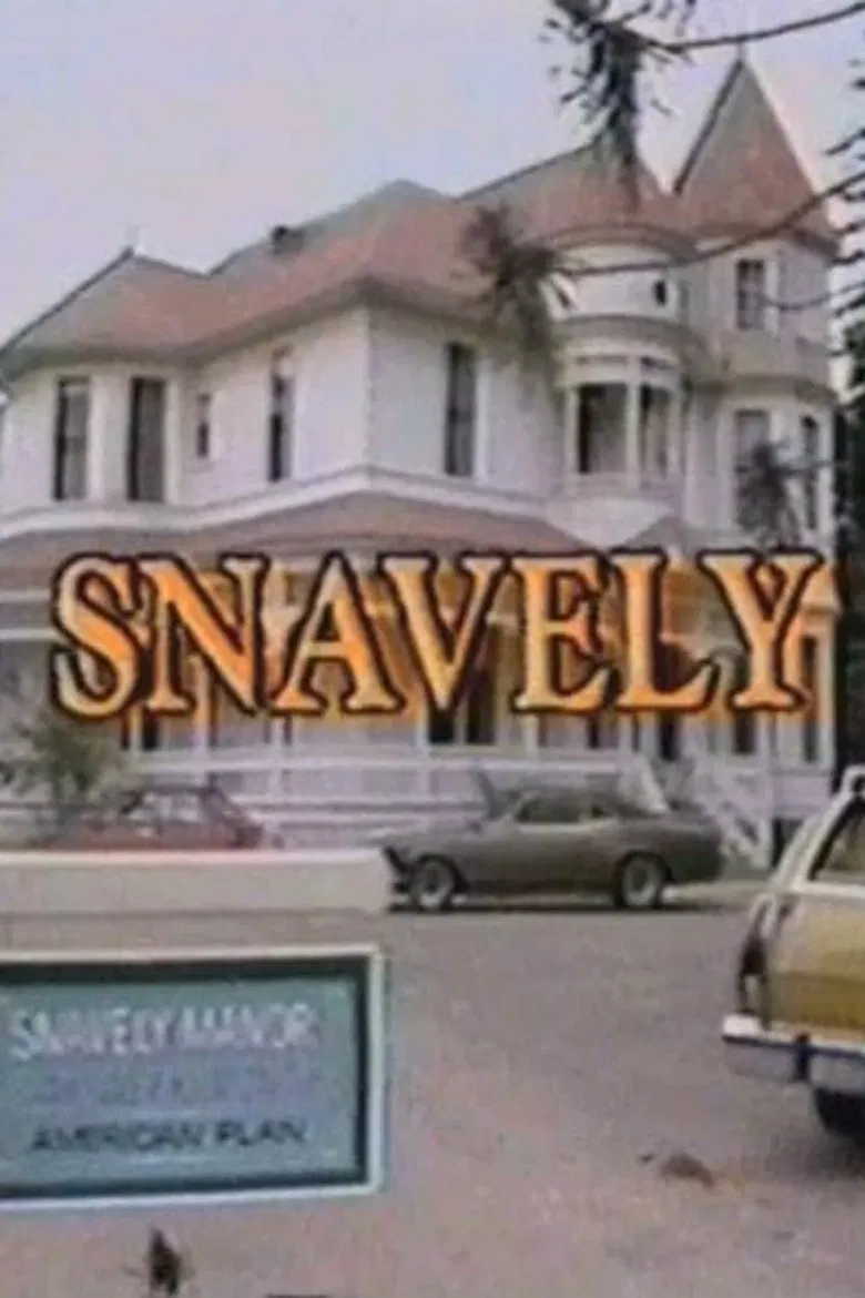 Snavely poster background