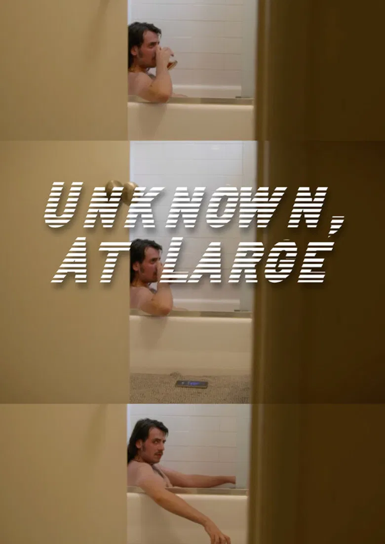 Unknown, At Large poster background