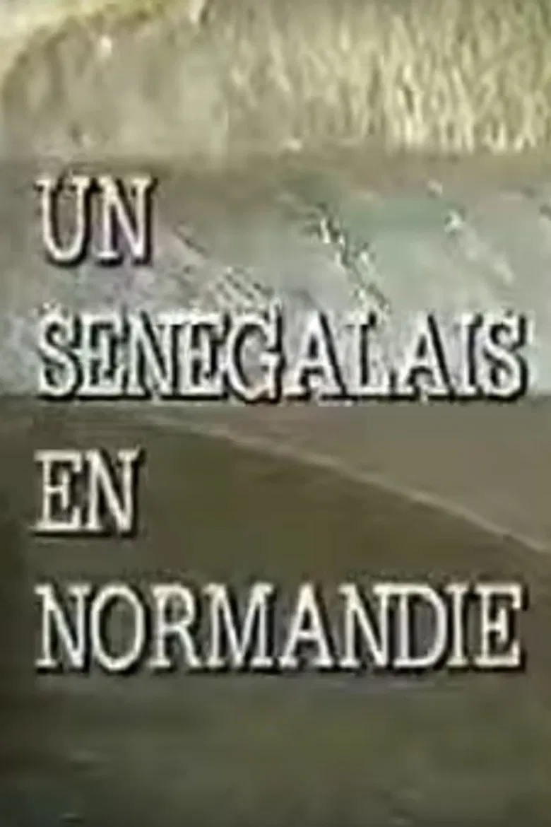 A Senegalese Man in Normandy poster background