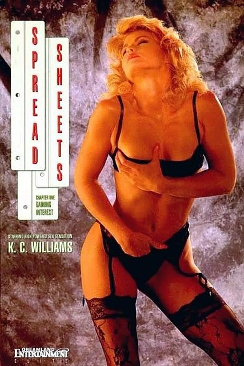 Spread Sheets poster background