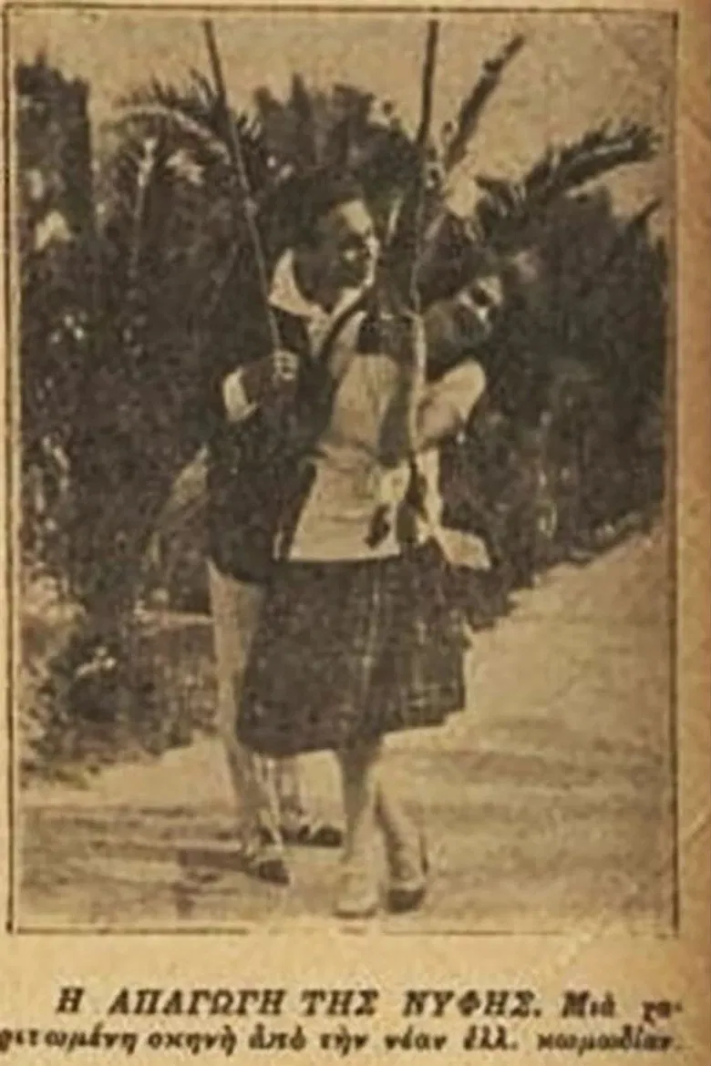 Η απαγωγή της νύφης poster background