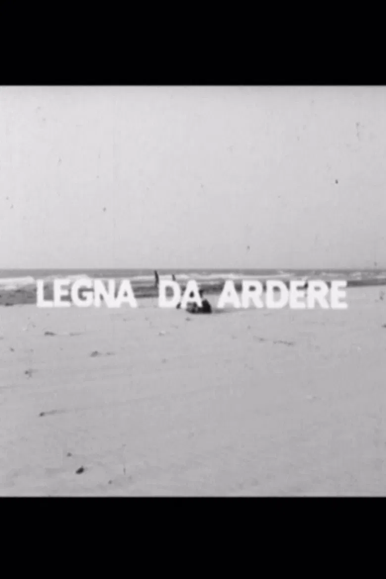Legna da ardere poster background