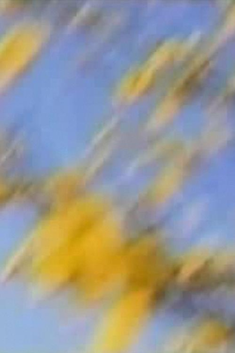 I Want to See How You See poster background