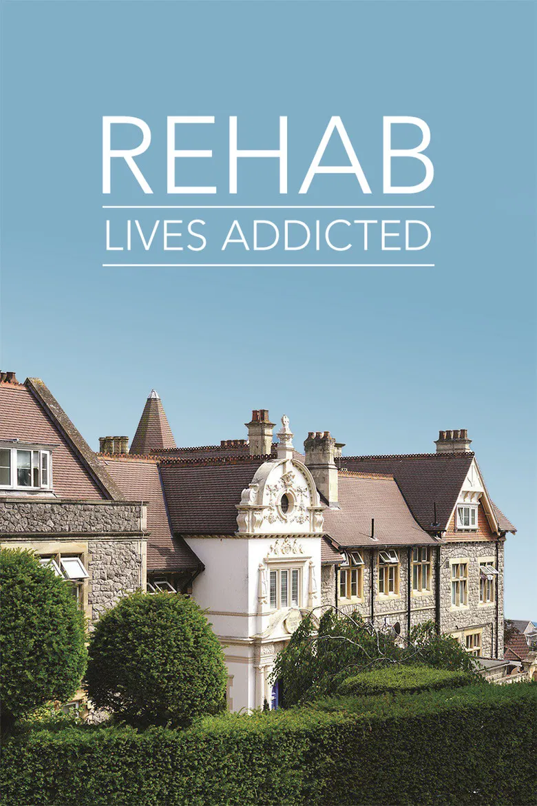 Rehab: Lives Addicted poster background