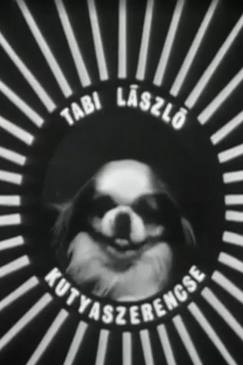 Kutyaszerencse poster background