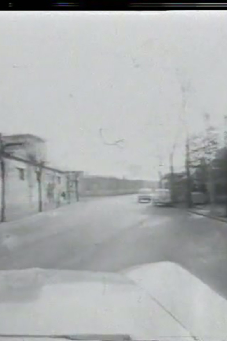 Zavoli incontra Basaglia: I giardini di Abele poster background