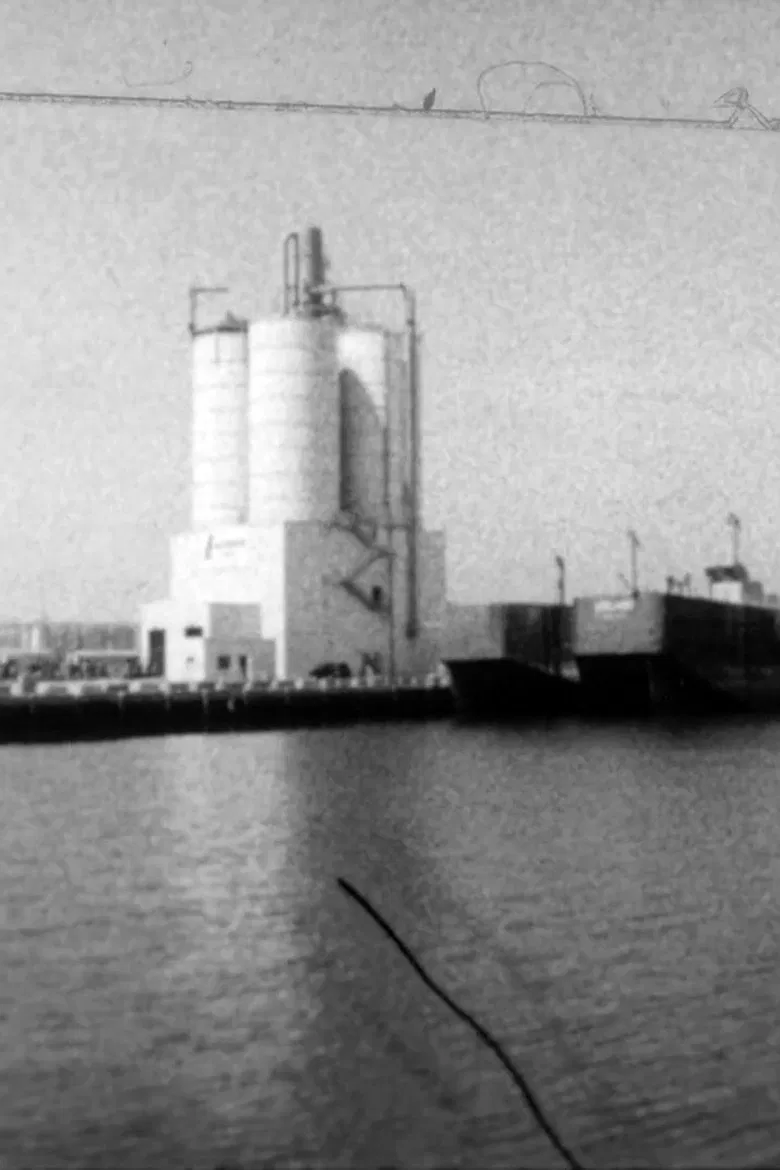 Gowanus Haze poster background