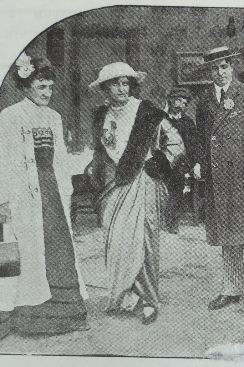 Mother-in-law in the Harem poster background