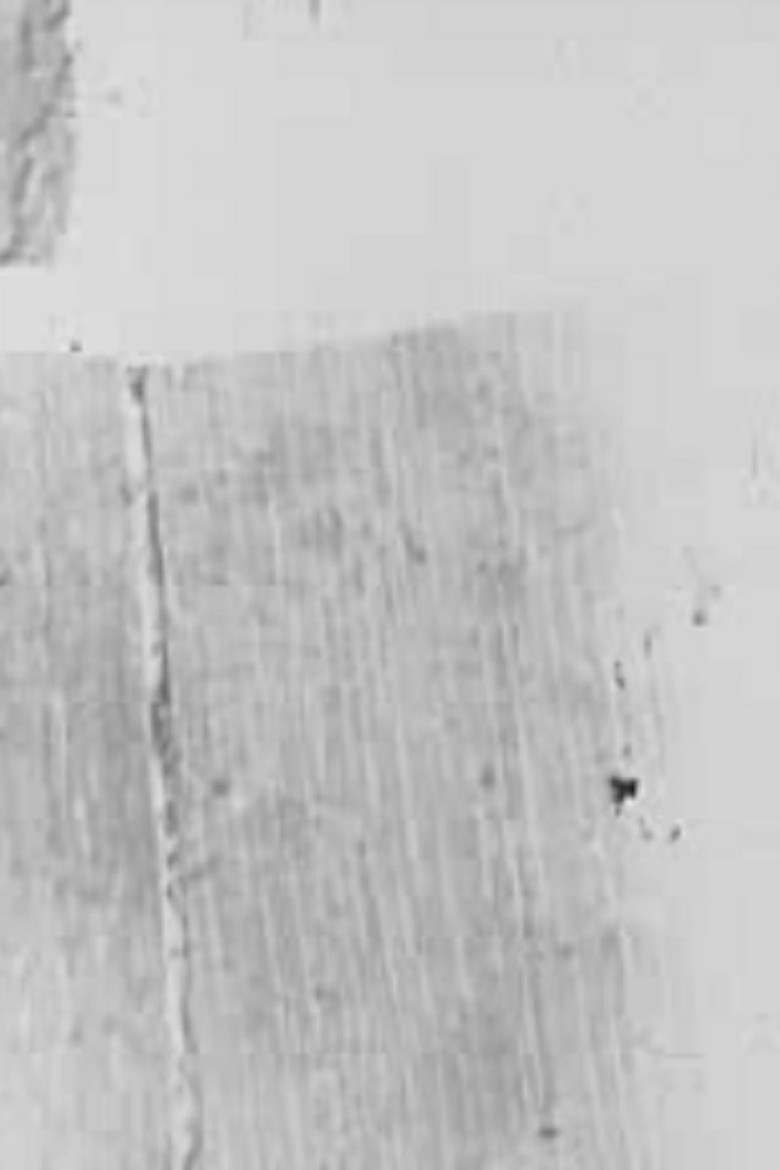 In/Side/Out I poster background