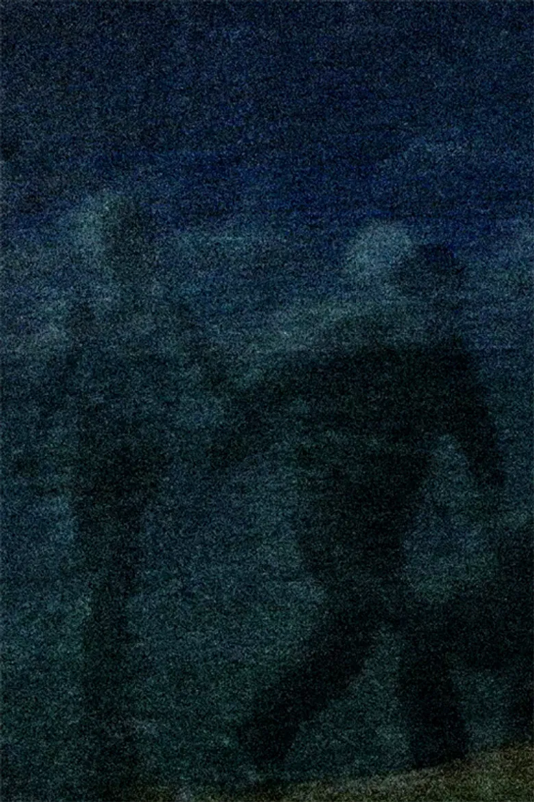 Baltagi poster background