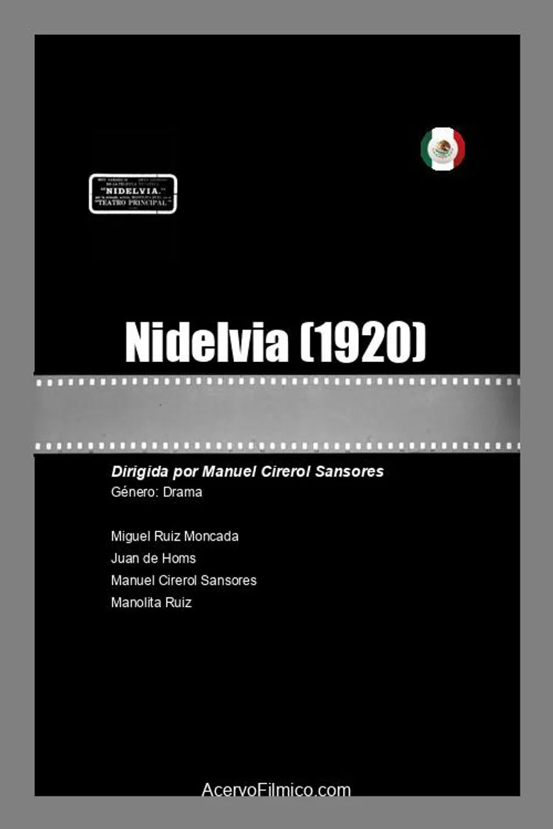 Nidelvia poster background
