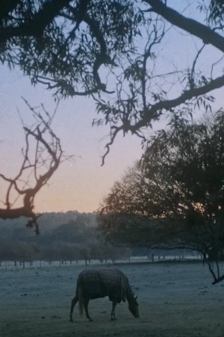 Until Then poster background