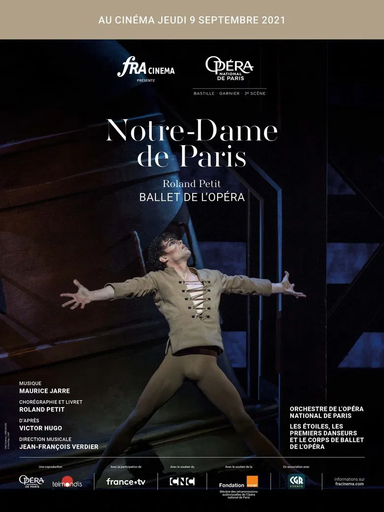 Notre-Dame de Paris (Opéra Bastille) poster background