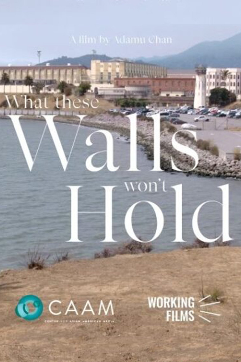 What These Walls Won't Hold poster background