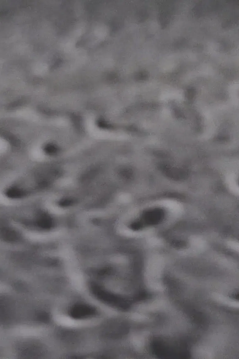 Moonrise poster background