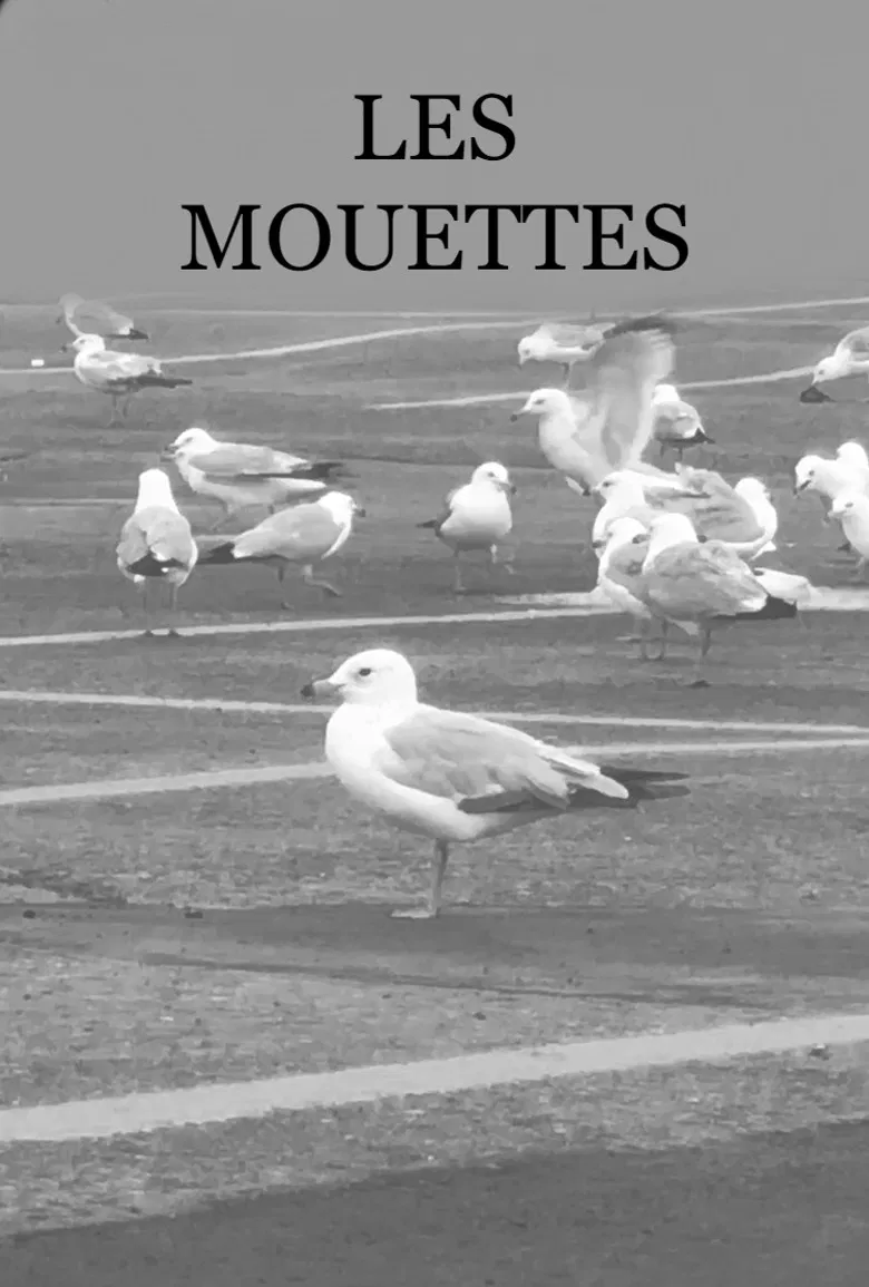 Les Mouettes poster background