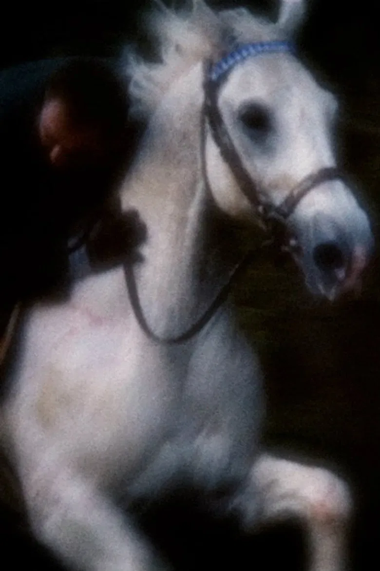 Horsey poster background