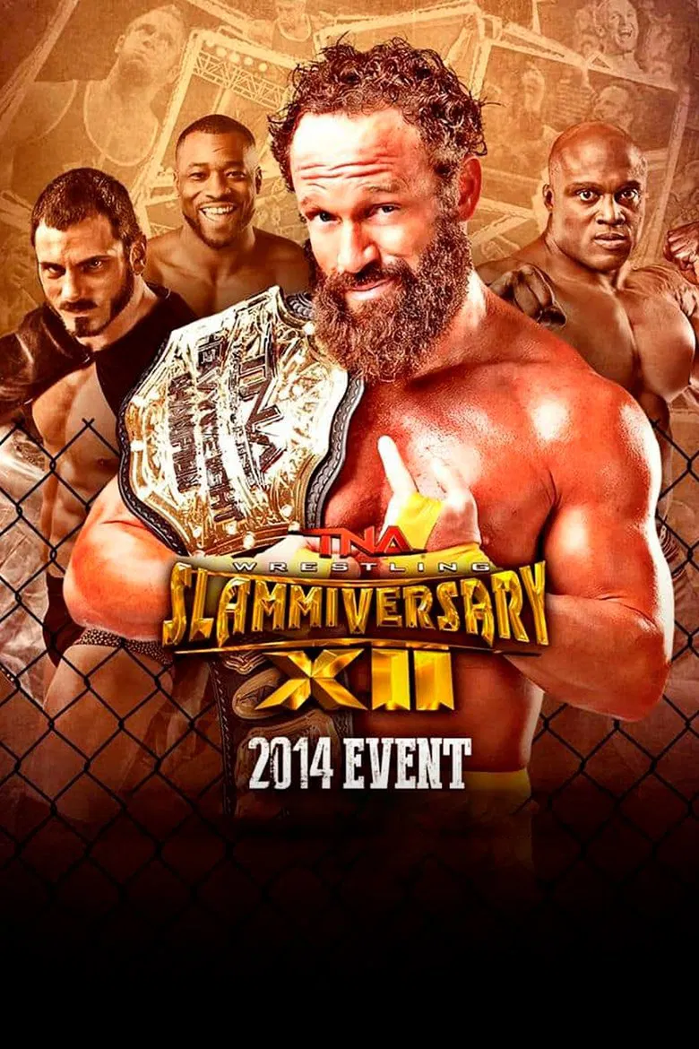 TNA Slammiversary XII poster background