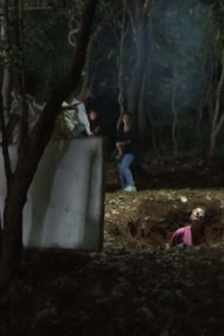 All the Witches poster background