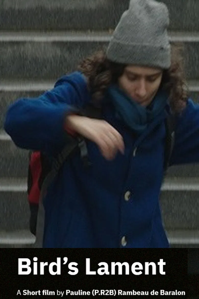 Bird's Lament poster background