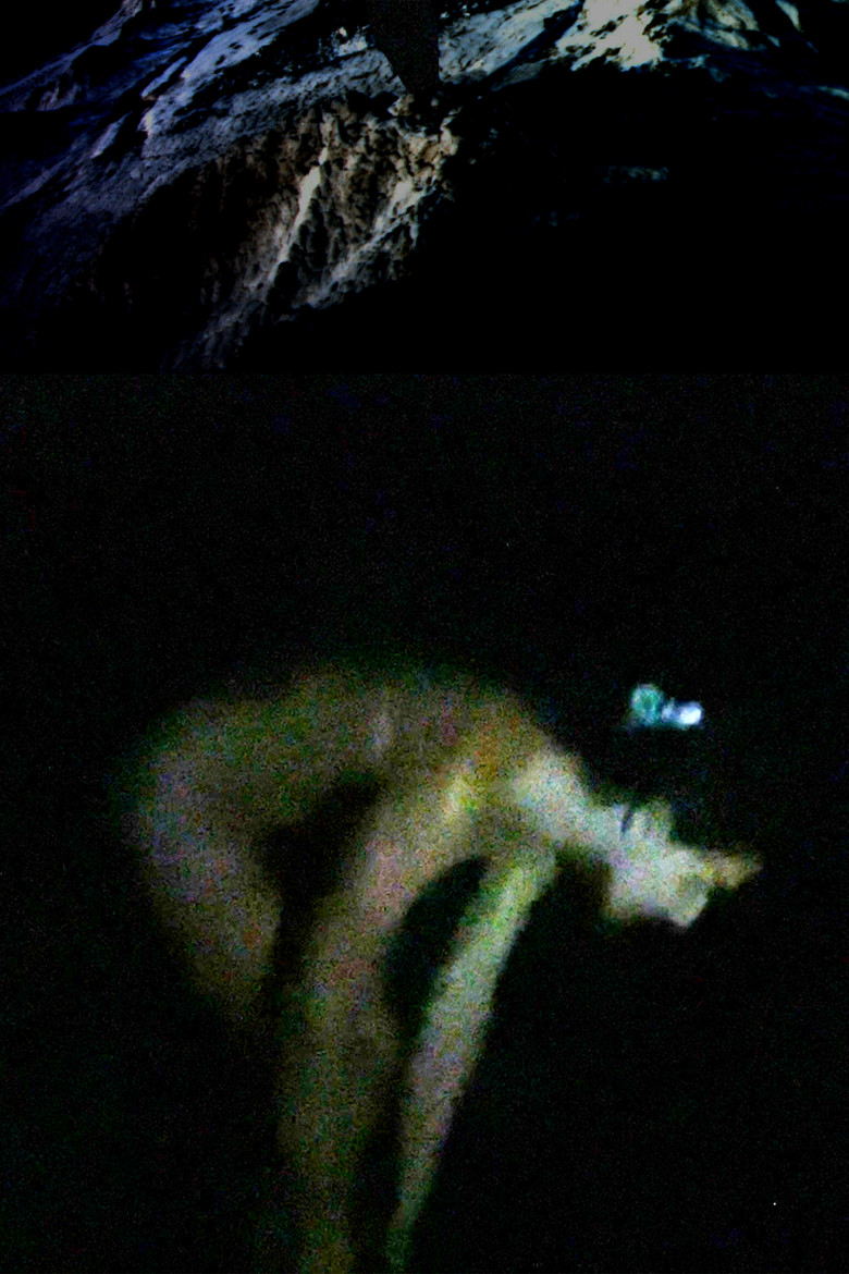 Cowpoke poster background