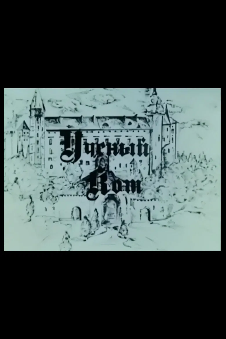 A Scholar Cat poster background