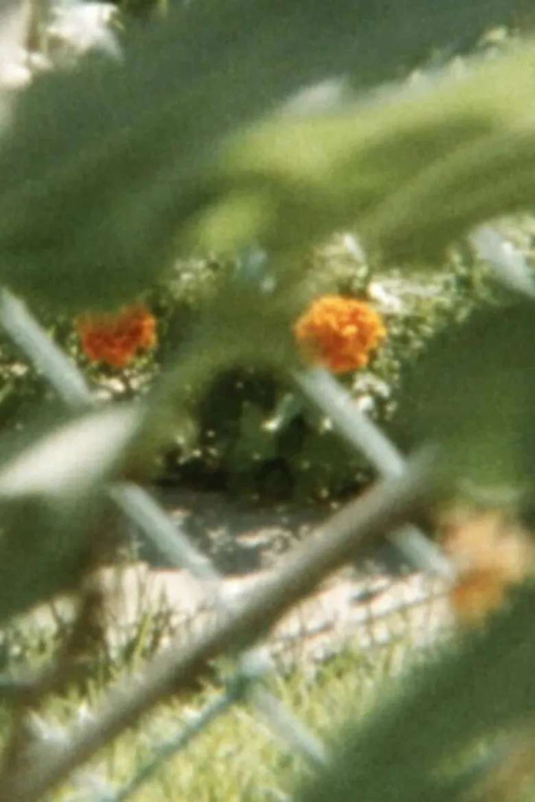 Lines to color within poster background