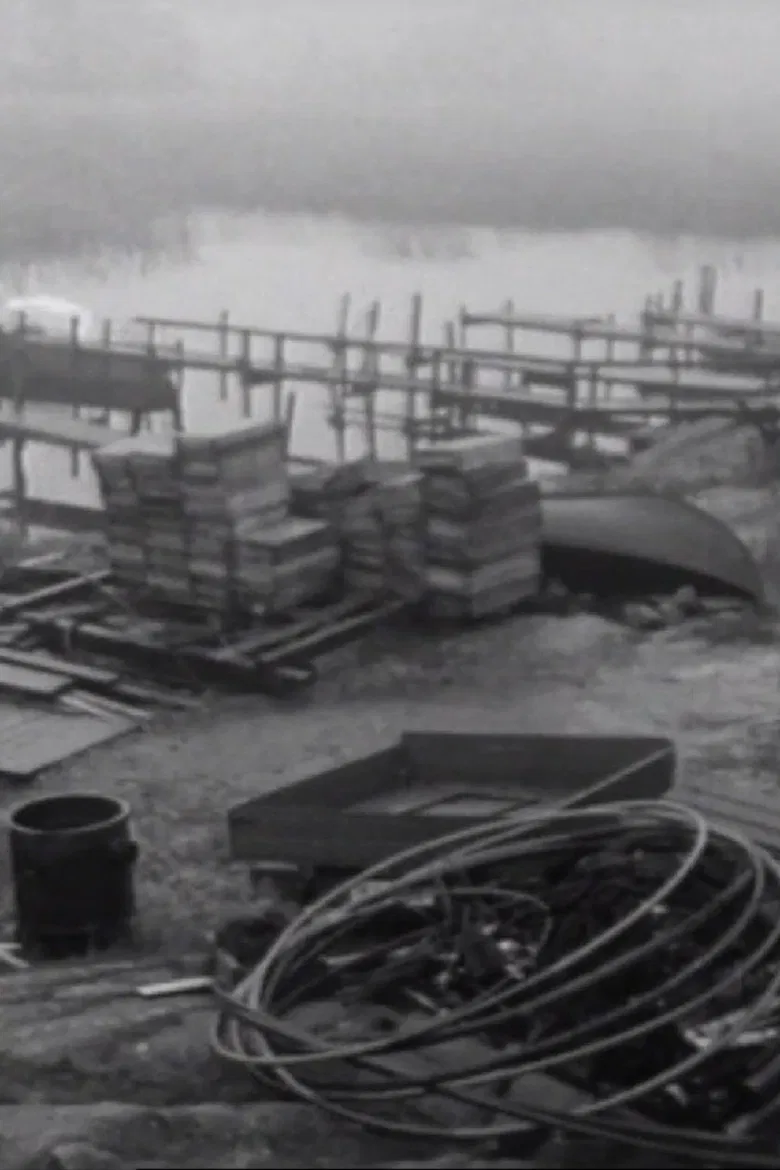 Transform Sweden poster background