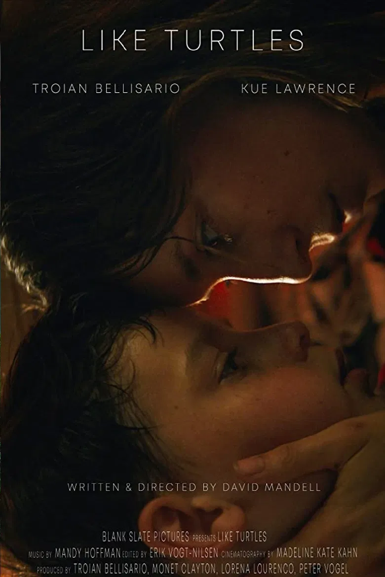 Like Turtles poster background