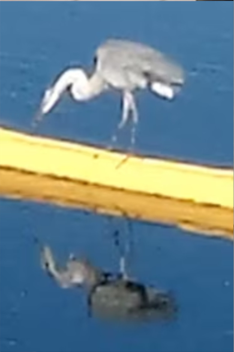 The Last Broadcast poster background